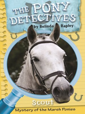 cover image of Scout and the Mystery of the Marsh Ponies